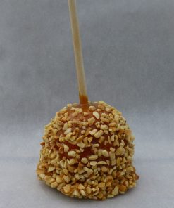 Caramel Apple with Nuts (HM)