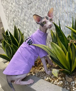 Cat Spring Summer Thin Cotton T-shirt