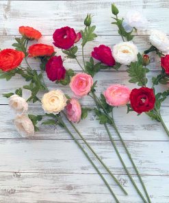 Long Stem Ranunculus  – 26″ (Choose Color)