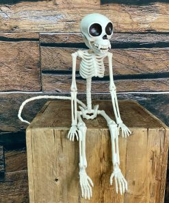 Skeleton – Monkey